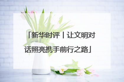 新华时评丨让文明对话照亮携手前行之路