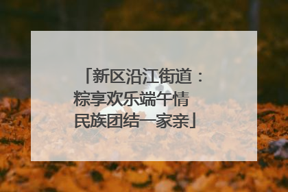 新区沿江街道：粽享欢乐端午情 民族团结一家亲