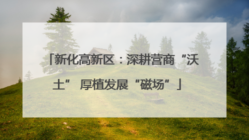 新化高新区：深耕营商“沃土” 厚植发展“磁场”