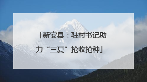 新安县：驻村书记助力“三夏”抢收抢种