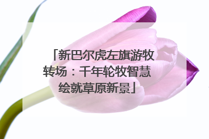 新巴尔虎左旗游牧转场：千年轮牧智慧绘就草原新景