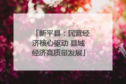 新平县：民营经济核心驱动 县域经济高质量发展