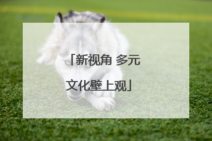 新视角 多元文化壁上观