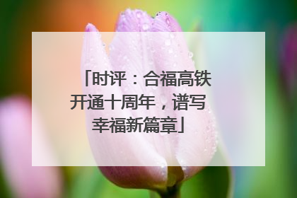 时评：合福高铁开通十周年，谱写幸福新篇章