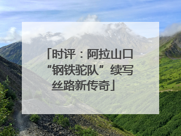 时评：阿拉山口“钢铁驼队”续写丝路新传奇
