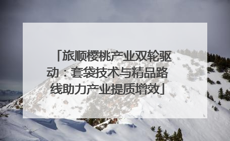 旅顺樱桃产业双轮驱动：套袋技术与精品路线助力产业提质增效