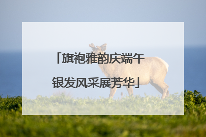 旗袍雅韵庆端午 银发风采展芳华