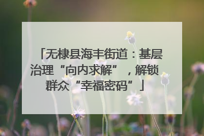 无棣县海丰街道：基层治理“向内求解”，解锁群众“幸福密码”