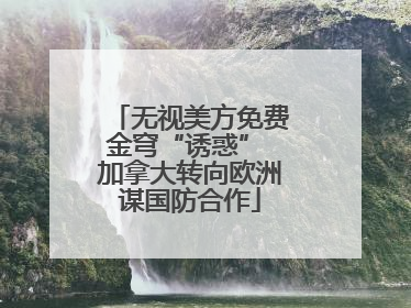 无视美方免费金穹“诱惑” 加拿大转向欧洲谋国防合作