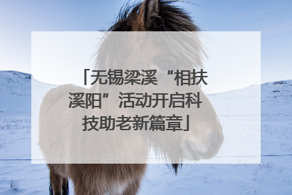 无锡梁溪“相扶溪阳”活动开启科技助老新篇章
