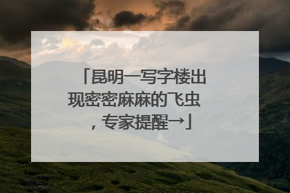 昆明一写字楼出现密密麻麻的飞虫，专家提醒→