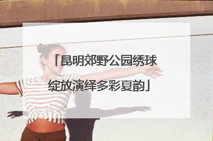 昆明郊野公园绣球绽放演绎多彩夏韵