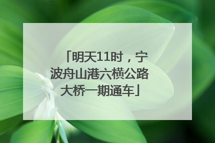 明天11时，宁波舟山港六横公路大桥一期通车