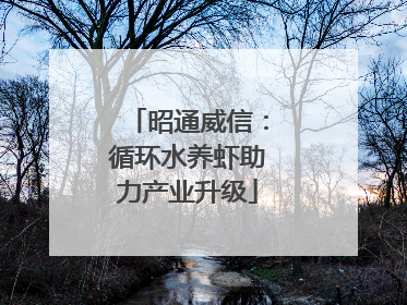 昭通威信：循环水养虾助力产业升级
