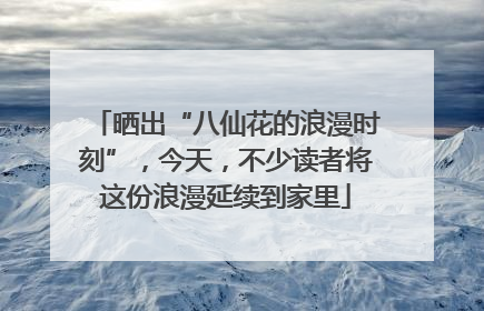 晒出“八仙花的浪漫时刻”，今天，不少读者将这份浪漫延续到家里