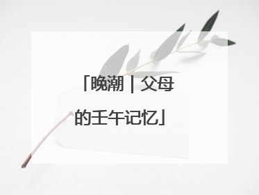 晚潮｜父母的壬午记忆