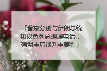 普京分别与伊朗总统和以色列总理通电话，强调重启谈判重要性