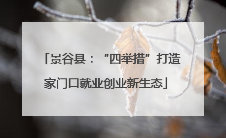 景谷县：“四举措”打造家门口就业创业新生态