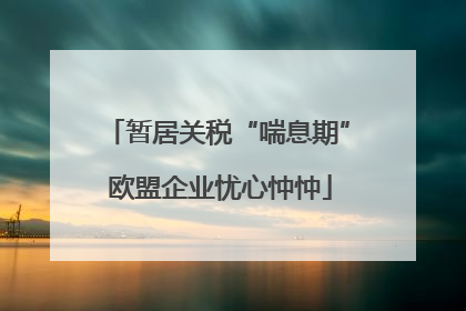 暂居关税“喘息期” 欧盟企业忧心忡忡