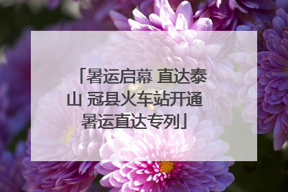 暑运启幕 直达泰山 冠县火车站开通暑运直达专列