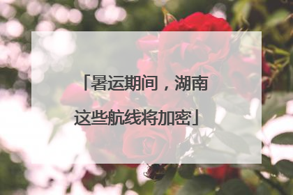 暑运期间，湖南这些航线将加密