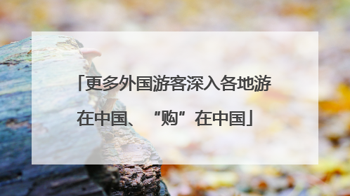 更多外国游客深入各地游在中国、“购”在中国