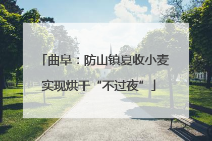 曲阜：防山镇夏收小麦实现烘干“不过夜”