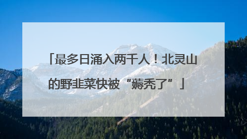 最多日涌入两千人！北灵山的野韭菜快被“薅秃了”