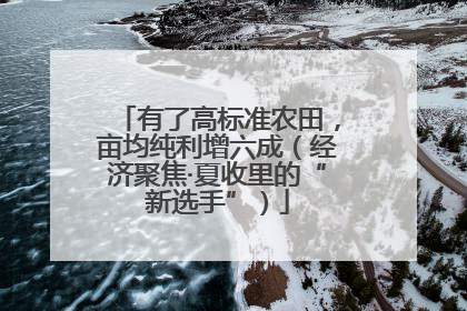 有了高标准农田，亩均纯利增六成（经济聚焦·夏收里的“新选手”）