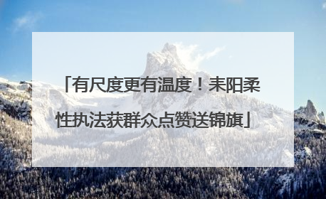 有尺度更有温度！耒阳柔性执法获群众点赞送锦旗
