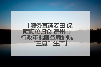 服务直通麦田 保障颗粒归仓 德州市行政审批服务局护航“三夏”生产
