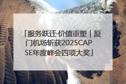 服务跃迁·价值重塑｜厦门机场斩获2025CAPSE年度峰会四项大奖