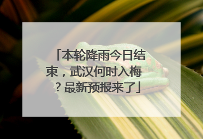 本轮降雨今日结束，武汉何时入梅？最新预报来了