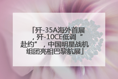 歼-35A海外首展，歼-10CE低调“赴约”，中国明星战机组团亮相巴黎航展