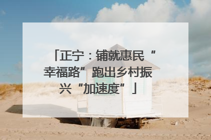 正宁：铺就惠民“幸福路”跑出乡村振兴“加速度”
