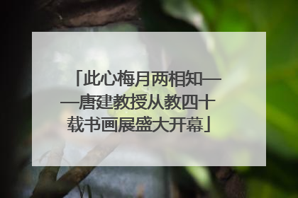 此心梅月两相知——唐建教授从教四十载书画展盛大开幕