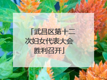 武昌区第十二次妇女代表大会胜利召开