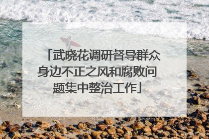 武晓花调研督导群众身边不正之风和腐败问题集中整治工作