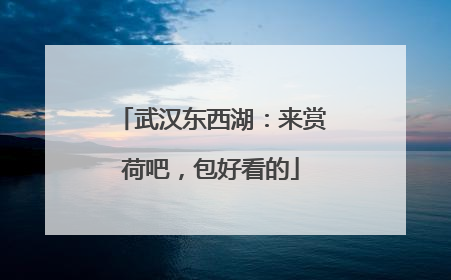 武汉东西湖：来赏荷吧，包好看的