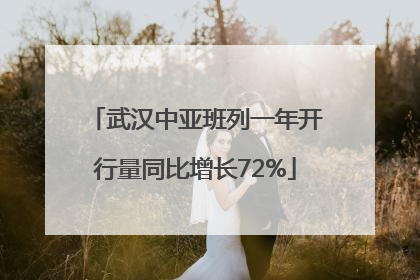 武汉中亚班列一年开行量同比增长72%