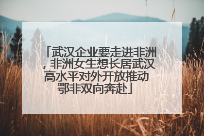 武汉企业要走进非洲，非洲女生想长居武汉 高水平对外开放推动鄂非双向奔赴