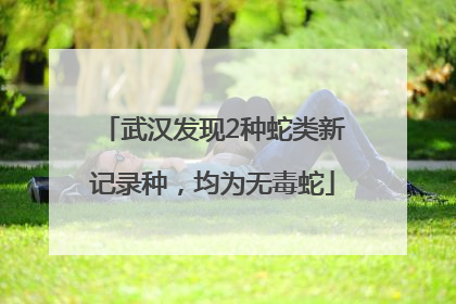 武汉发现2种蛇类新记录种，均为无毒蛇