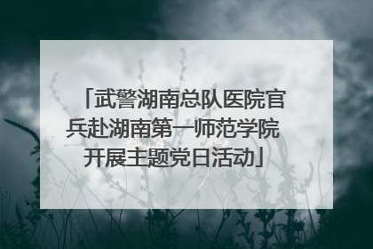 武警湖南总队医院官兵赴湖南第一师范学院开展主题党日活动