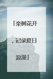 栾树花开，记录夏日浪漫