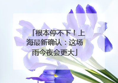 根本停不下！上海最新确认：这场雨今夜会更大