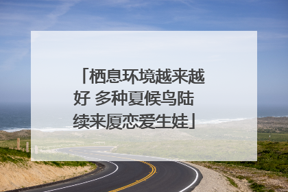 栖息环境越来越好 多种夏候鸟陆续来厦恋爱生娃
