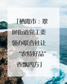 栖霞市：翠屏街道党工委领办联合社让“农特好品”香飘四方