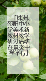 株洲、邵阳中小学美术新教材教学研讨活动在景炎中学举行
