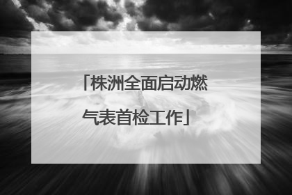 株洲全面启动燃气表首检工作