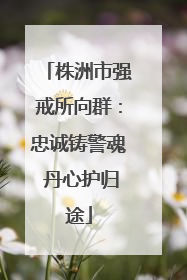 株洲市强戒所向群：忠诚铸警魂 丹心护归途